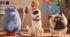 Урок за мультфільмом 🐶The Secret Life of Pets🐶