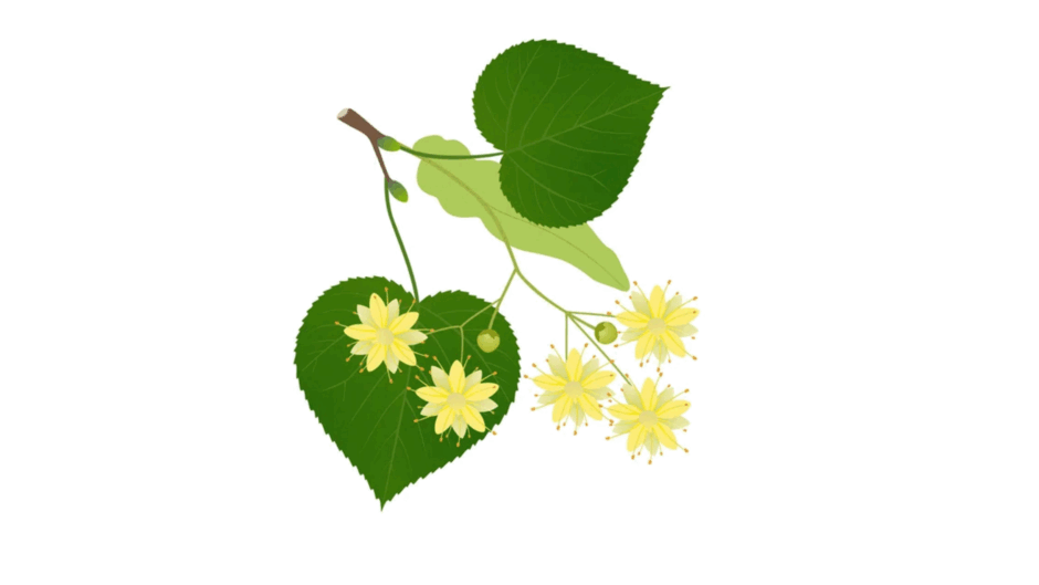09022duc-e2d9-940x529.png