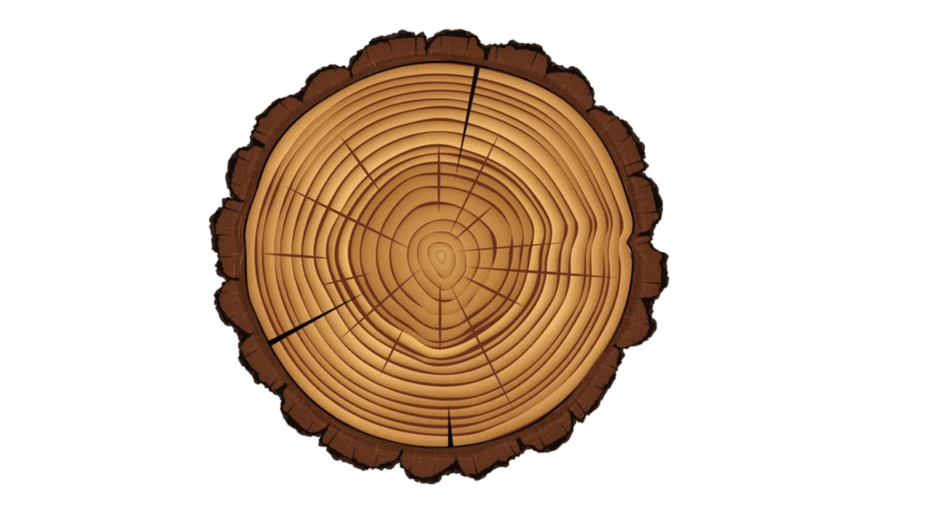09022dv3-0db1-940x529.png