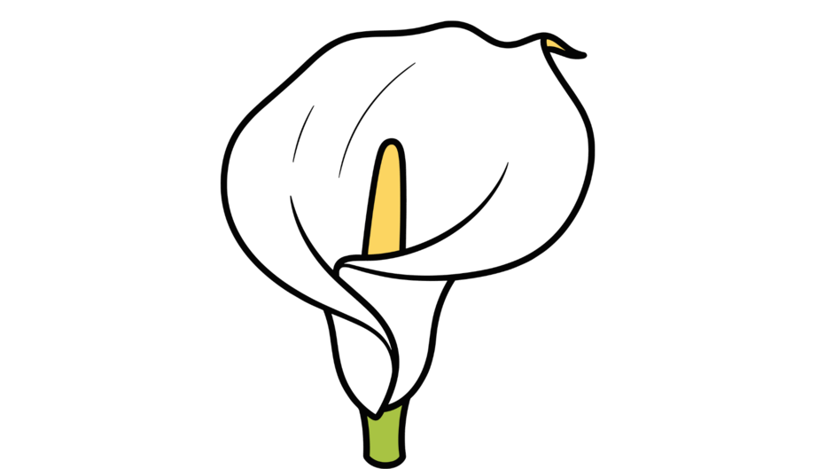 09022dvp-9920-940x529.png