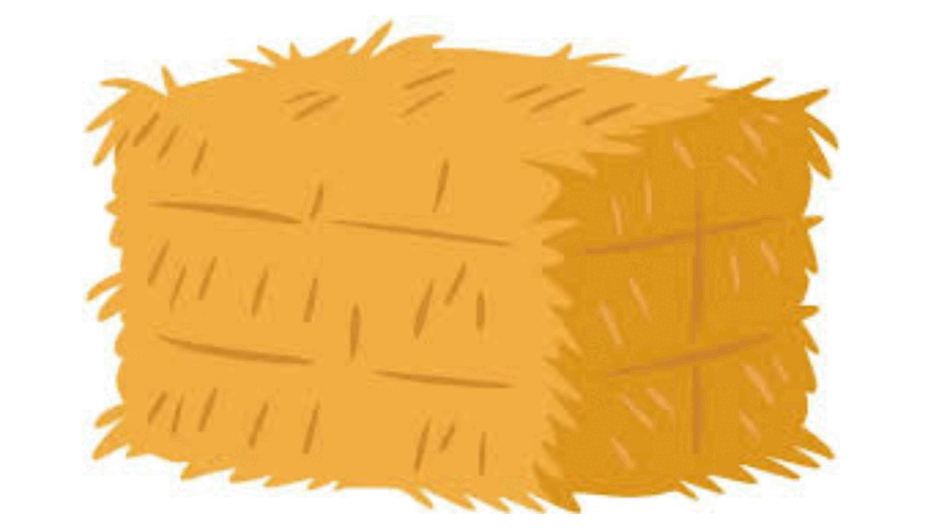 09022dx2-9fed-940x529.png