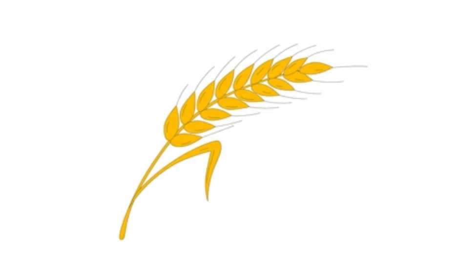 09022dxg-4c89-940x529.png