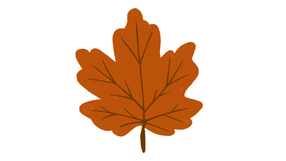 09022dy9-1bd1-940x529.png
