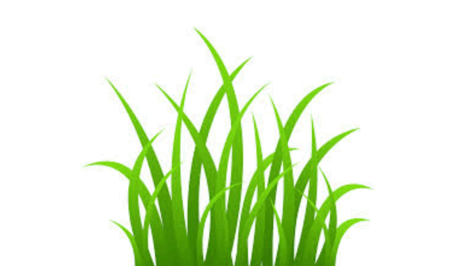 09022dyd-3390-940x529.png