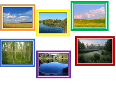 09022eo8-c81f-404x303.png