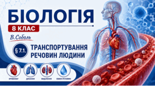 Транспортування речовин людини. Презентація, інфографіка, робочий аркуш