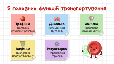 09022eu0-258b-385x217.png