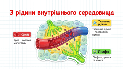 09022eu3-d75f-426x240.png