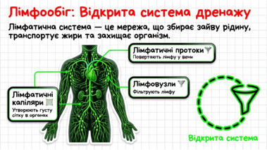 09022eu5-29d0-379x213.png