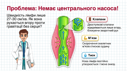 09022eu6-9227-417x235.png