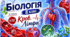 Кров. Лімфа. Презентація, інфографіка, робочий аркуш