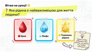 09022ewg-d1d7-390x220.png
