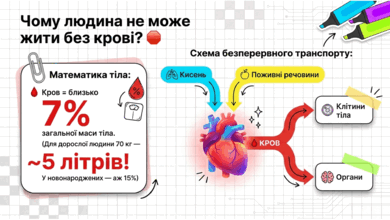 09022ewv-c7a2-390x220.png