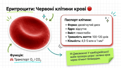 09022exi-f1d6-397x224.png