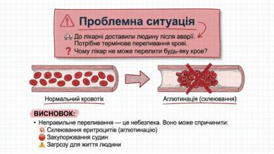 09022f3e-84ae-389x219.png