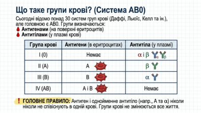 09022f3p-3c69-394x222.png