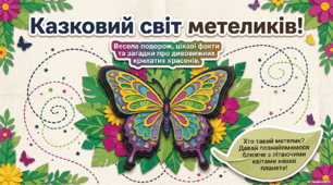 Презентація "Казковий світ метеликів"