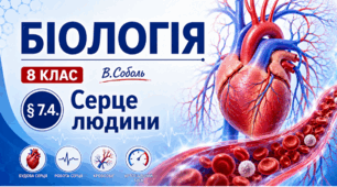 Серце людини. Презентація, інфографіка, робочий аркуш