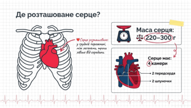 09022grv-9815-380x214.png