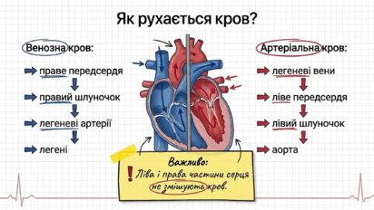 09022gs1-c84d-412x232.png