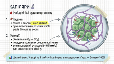 09022h7z-55a5-379x213.png
