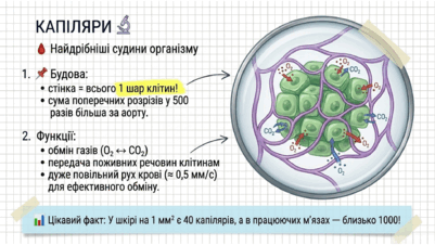 09022h7z-55a5-401x226.png
