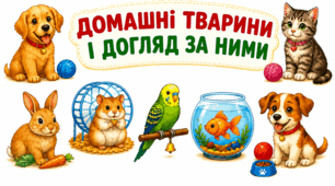 Постер 🐈🐕🦜🐥 "Домашні тварини і догляд за ними"