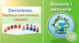 Інфографіка "Індивідуальний розвиток людини"
