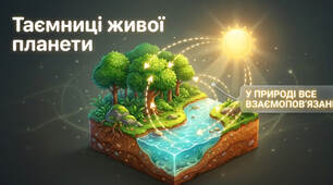 У природі все взаємопов'язане - презентація