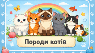Проєкт "Породи котів"