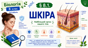 Шкіра. Презентація, інфографіка, робочий аркуш