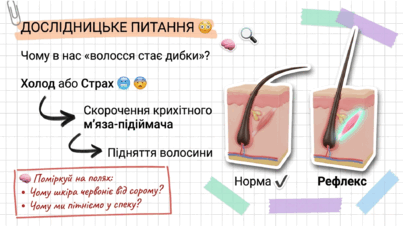 09022sjx-4f85-403x227.png