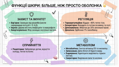 09022sk3-7816-399x224.png