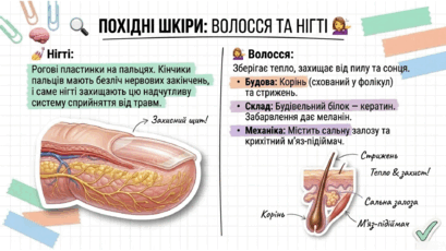 09022sks-f1e5-409x230.png