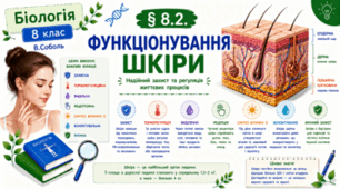 Функціонування шкіри. Презентація, інфографіка, робочий аркуш
