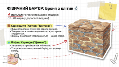 09022sp6-cef6-384x216.png