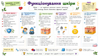 09022spw-785c-389x219.png