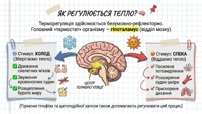 09022svn-be8b-407x229.png