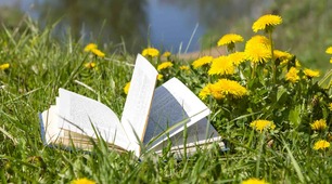 Таємниці книжкової шафи: для майбутніх 7-класників