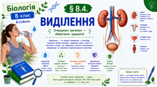 Виділення. Презентація, інфографіка, робочий аркуш