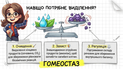 09022tvi-2f9e-413x233.png