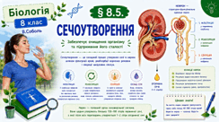 Сечоутворення. Презентація, інфографіка, робочий аркуш
