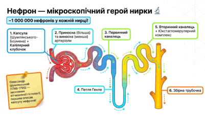 09022u01-4be9-401x226.png