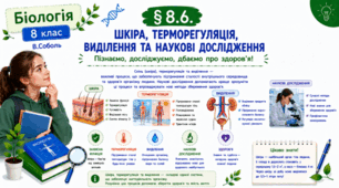 Шкіра, терморегуляція, виділення та наукові дослідження.Презентація, інфографіка, робочий аркуш