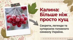 Калина: символіка, традиції та цілющі властивості