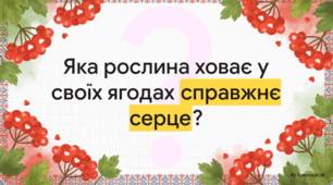 Калина: символіка, традиції та цілющі властивості