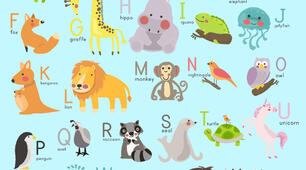 Animal ABC: 12-Piece Jigsaw Puzzle