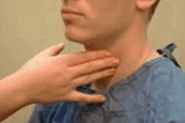0902348p-3ef0-185x123.png