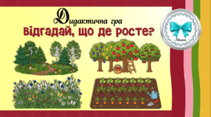 Дидактична гра "Відгадай, що де росте?"