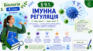 Імунна регуляція. Презентація, інфографіка, робочий аркуш